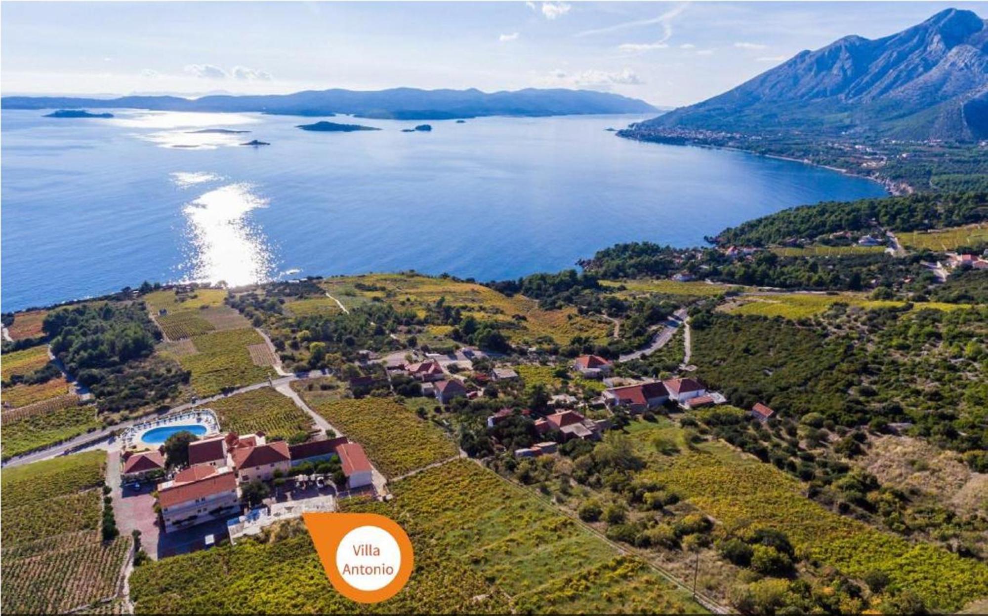 Hotel Pansion Villa Antonio Orebic Ngoại thất bức ảnh